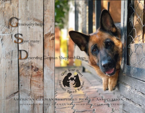 AGSRA Rescue Calendar