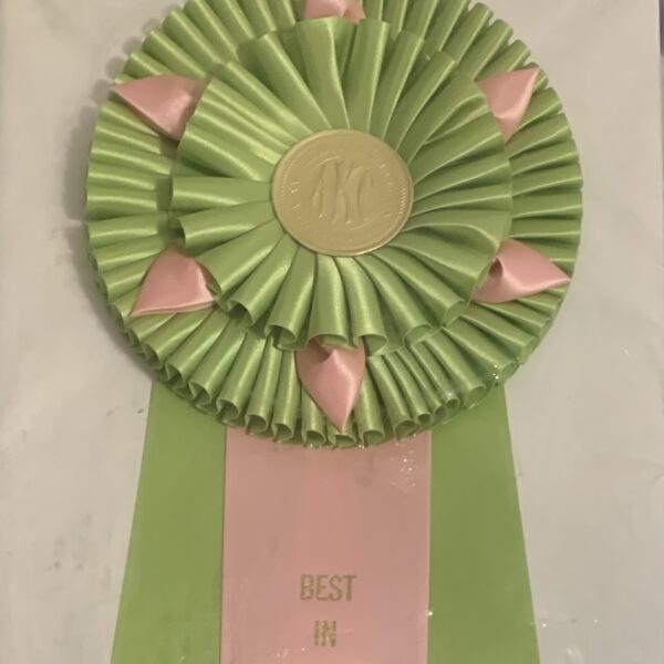 products-the-german-shepherd-dog-club-of-america