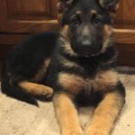 366756671_823327502622493_4997108123135366721_n