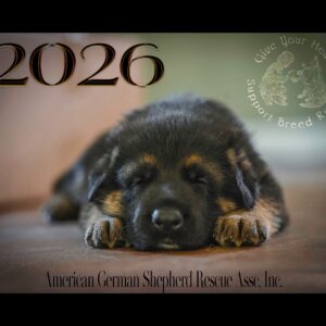 2026 AGSRA Rescue Calendar